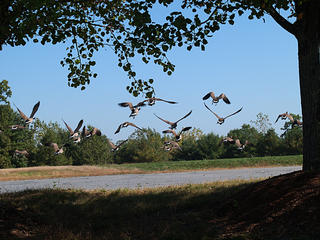 Was it something I said?