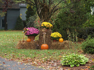 Fall display