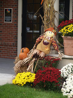 Fall display #3
