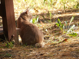 There is something out there....