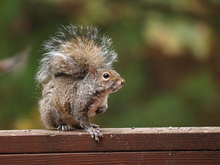 Be sure to photograph me on my good side