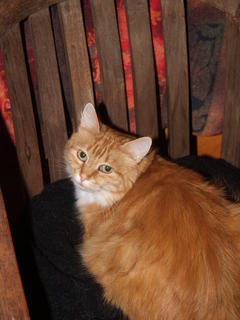 Why do you keep taking pictures of me?