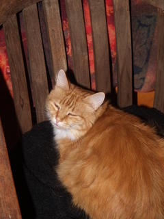 If I close my eyes, you will vanish...