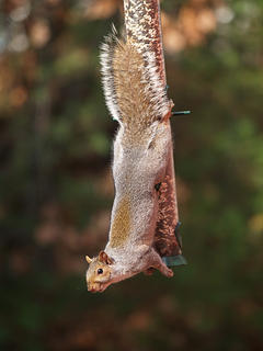 This is my good side