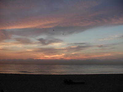 Sunrise clouds and birds