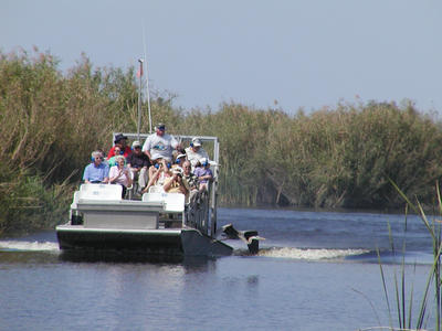Heron in front of tourboat