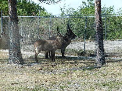 Hmmm, the grass doesn't look any greener on the other side of the fence