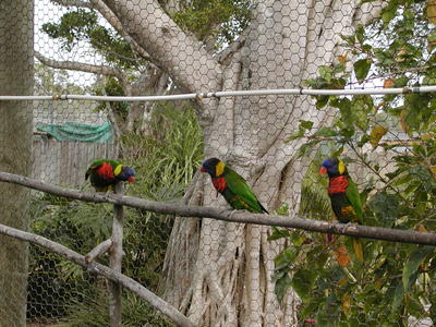 He said, she said...