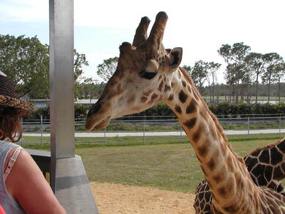 What have you got there?