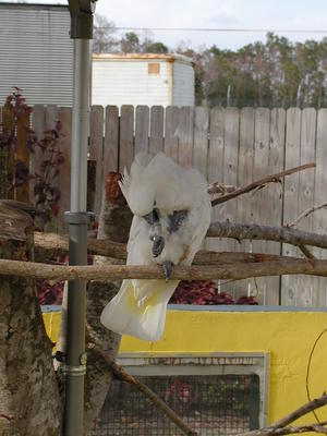 Hmmm, if I work at it, I can remove this band