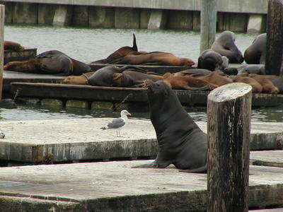 Let me tell you about my day