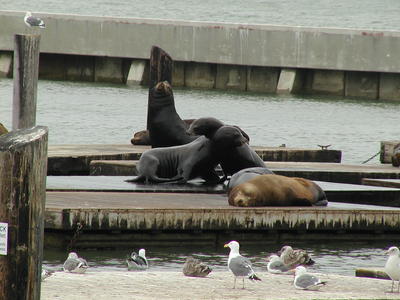 I'll scratch your back if you scratch mine