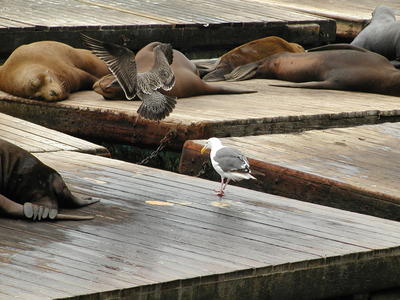 Niner twelve eighty, you are clear to land