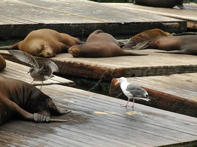 Niner twelve eighty, you are clear to land #2