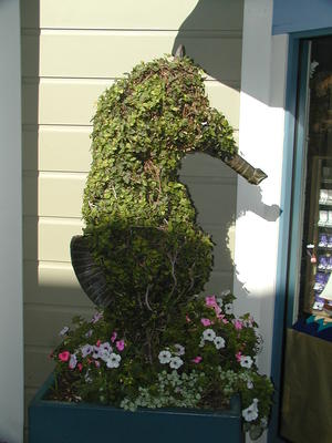 Floral seahorse