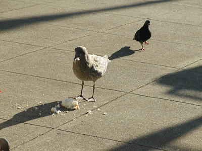 Mine, mine, all mine!