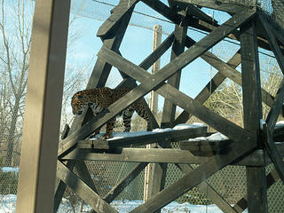 His majesty surveying the kingdom