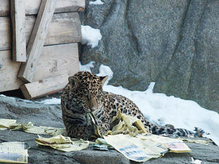 Hello telephone company?  I need a new directory....