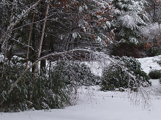 I'm not going into work today