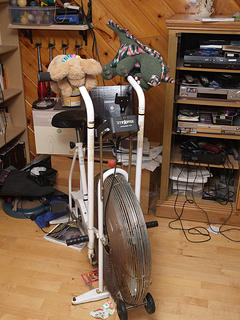 Stuffed animal exercise