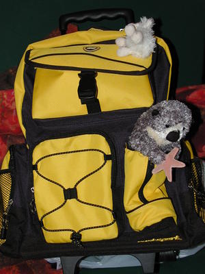 Liz's backpack ready to go to the hospital