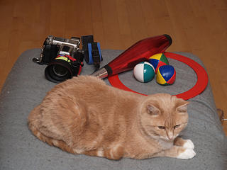 My hobbies - cameras, juggling, pets