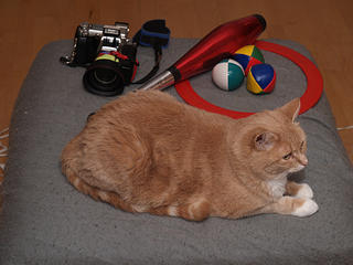 My hobbies - cameras, juggling, pets #2