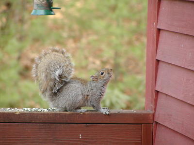Preparing for the jump