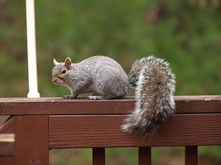 Are you still there?