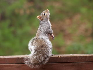 Stand up and be counted