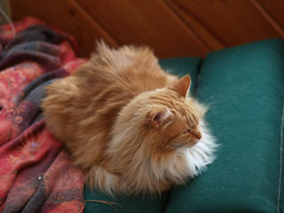 This is my good side