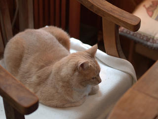 His majesty on his throne