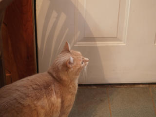 I want to go out now!