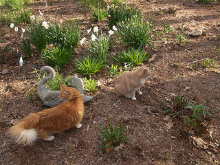 I'll sneak up on him when he isn't looking.