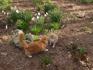 Hi, do you come here often?