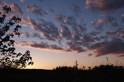 Sunset clouds