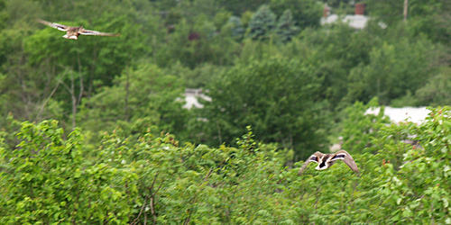 Was it something I said?