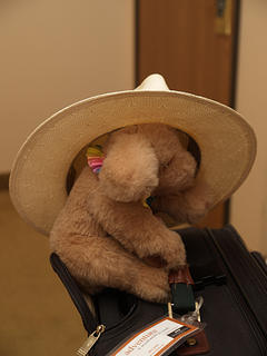 This hat is a little too big