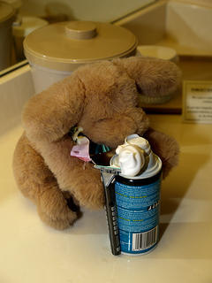 I'm going to shave off my fur