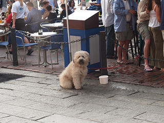 I hope they finish soon