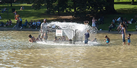 Splashing in the frog pond