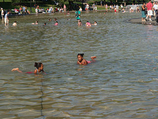 Swimming in the frog pond