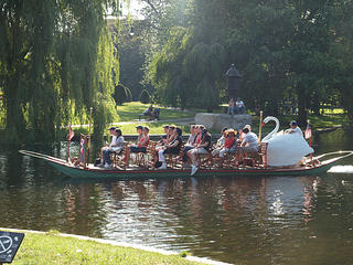 Swan boat #2