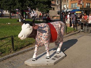 Kimoono Maiden cow #2