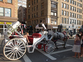 Horse drawn cart #3