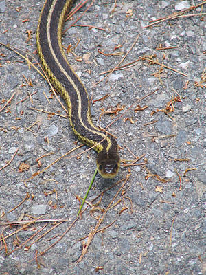 And what are you looking at?