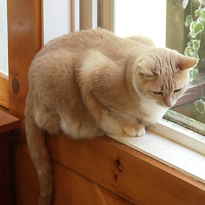 As close to outside as I want to go