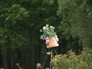 Funny pots at Russell's garden center