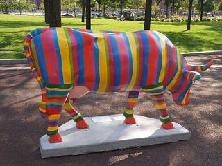 Cow of many colors