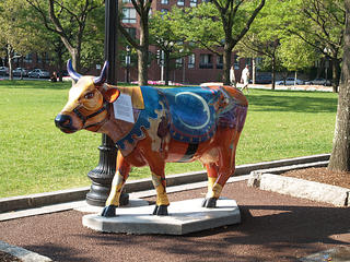 The magical moon cow #3